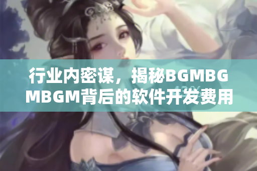 行业内密谋，揭秘BGMBGMBGM背后的软件开发费用真相