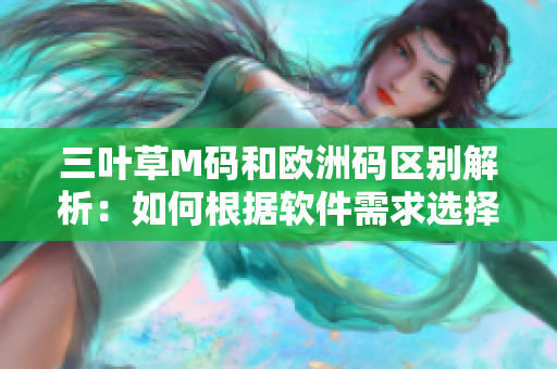 三叶草M码和欧洲码区别解析：如何根据软件需求选择正确的尺码？