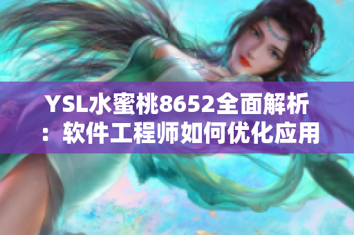 YSL水蜜桃8652全面解析：软件工程师如何优化应用程序性能