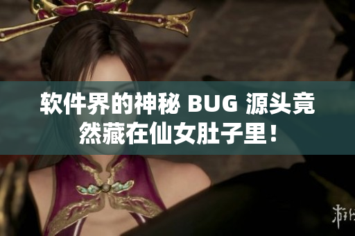 软件界的神秘 BUG 源头竟然藏在仙女肚子里！