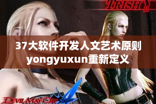 37大软件开发人文艺术原则yongyuxun重新定义