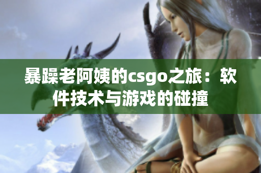 暴躁老阿姨的csgo之旅：软件技术与游戏的碰撞