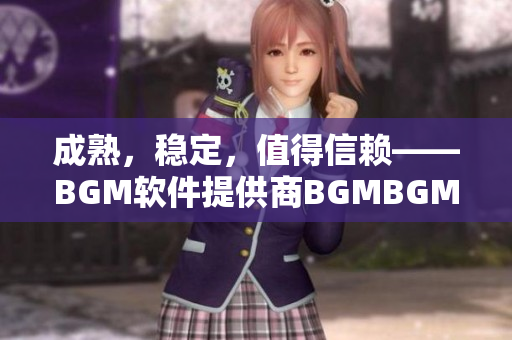 成熟，稳定，值得信赖——BGM软件提供商BGMBGMBGM的价格揭秘