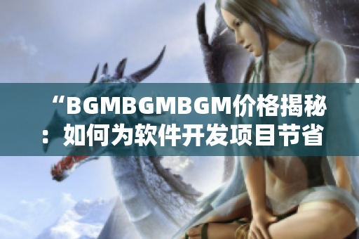 “BGMBGMBGM价格揭秘：如何为软件开发项目节省开支？”