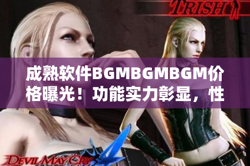 成熟软件BGMBGMBGM价格曝光！功能实力彰显，性价比超高！