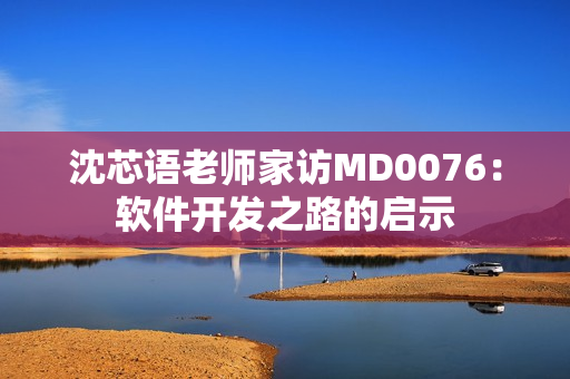 沈芯语老师家访MD0076：软件开发之路的启示