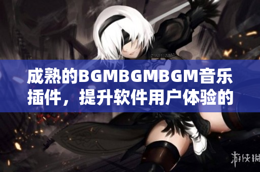 成熟的BGMBGMBGM音乐插件，提升软件用户体验的必备之选