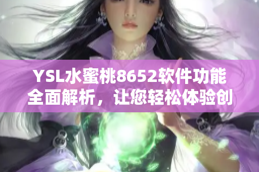 YSL水蜜桃8652软件功能全面解析，让您轻松体验创新科技