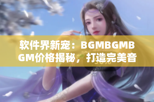 软件界新宠：BGMBGMBGM价格揭秘，打造完美音乐氛围！