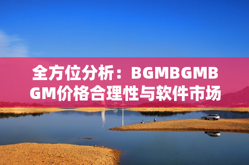 全方位分析：BGMBGMBGM价格合理性与软件市场消费趋势