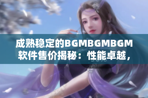 成熟稳定的BGMBGMBGM软件售价揭秘：性能卓越，价格亲民