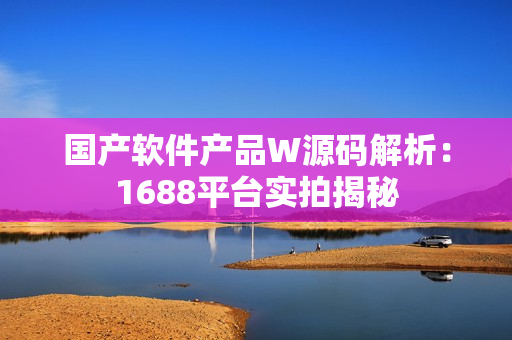 国产软件产品W源码解析：1688平台实拍揭秘