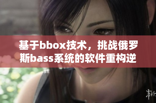 基于bbox技术，挑战俄罗斯bass系统的软件重构逆袭