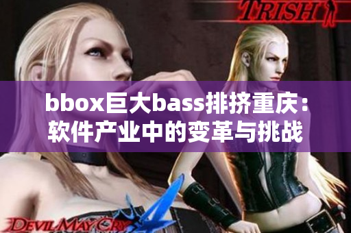 bbox巨大bass排挤重庆：软件产业中的变革与挑战