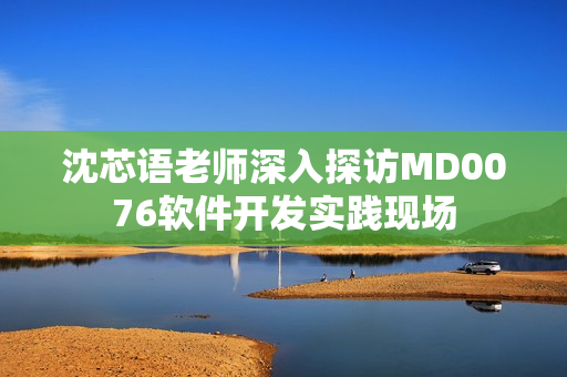 沈芯语老师深入探访MD0076软件开发实践现场