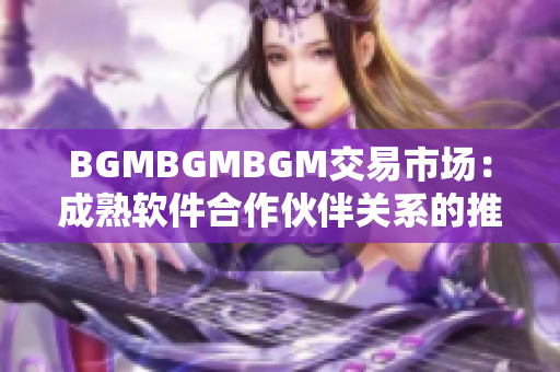 BGMBGMBGM交易市场：成熟软件合作伙伴关系的推进及价格调整