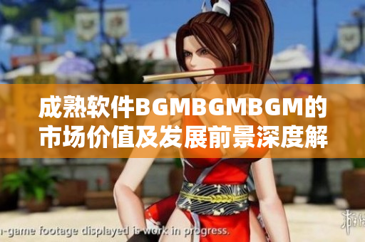 成熟软件BGMBGMBGM的市场价值及发展前景深度解析