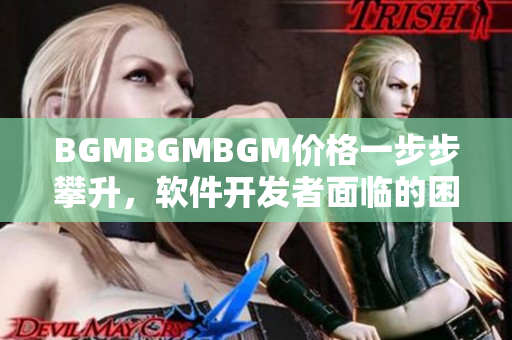 BGMBGMBGM价格一步步攀升，软件开发者面临的困境与解决方案