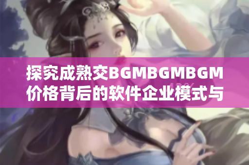 探究成熟交BGMBGMBGM价格背后的软件企业模式与供需关系