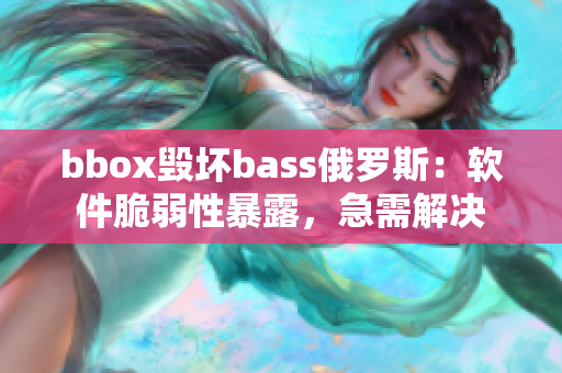 bbox毁坏bass俄罗斯：软件脆弱性暴露，急需解决