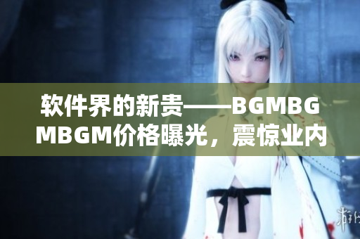 软件界的新贵——BGMBGMBGM价格曝光，震惊业内！