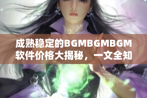 成熟稳定的BGMBGMBGM软件价格大揭秘，一文全知！