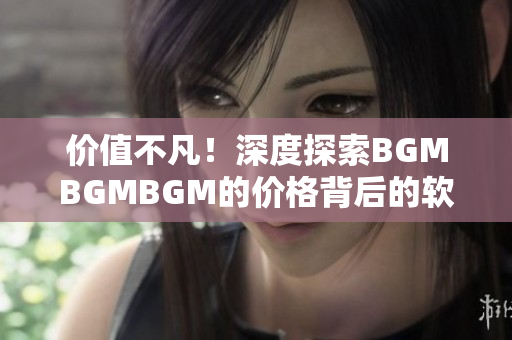 价值不凡！深度探索BGMBGMBGM的价格背后的软件技术