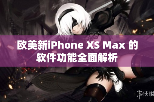 欧美新iPhone XS Max 的软件功能全面解析