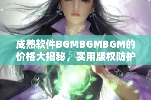 成熟软件BGMBGMBGM的价格大揭秘，实用版权防护技巧揭秘