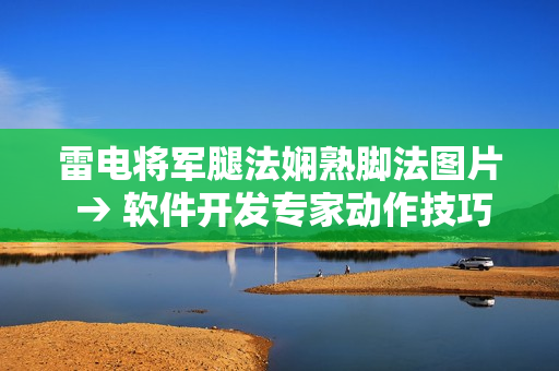 雷电将军腿法娴熟脚法图片 → 软件开发专家动作技巧展示图片