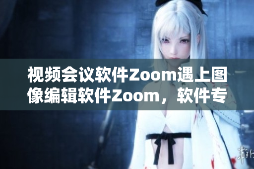 视频会议软件Zoom遇上图像编辑软件Zoom，软件专题述评