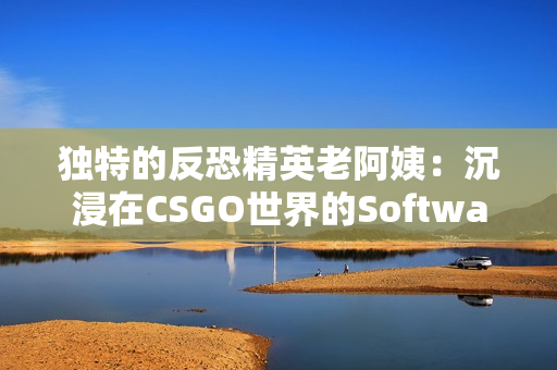 独特的反恐精英老阿姨：沉浸在CSGO世界的Software玩家