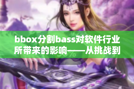 bbox分割bass对软件行业所带来的影响——从挑战到机遇