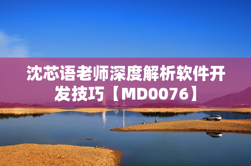 沈芯语老师深度解析软件开发技巧【MD0076】