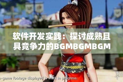 软件开发实践：探讨成熟且具竞争力的BGMBGMBGM价格策略