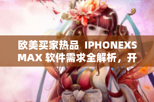 欧美买家热品  IPHONEXSMAX 软件需求全解析，开发者必读 