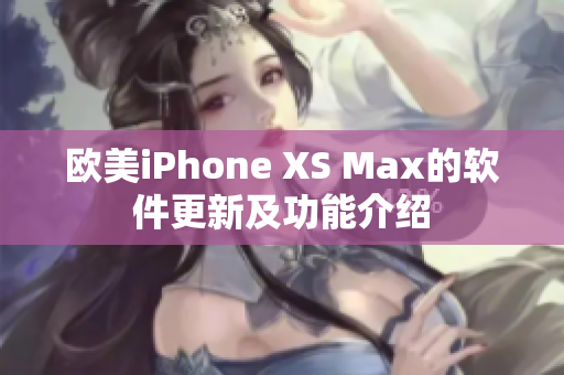 欧美iPhone XS Max的软件更新及功能介绍