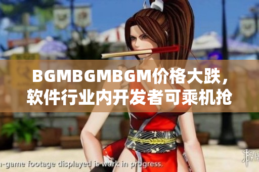 BGMBGMBGM价格大跌，软件行业内开发者可乘机抢购！