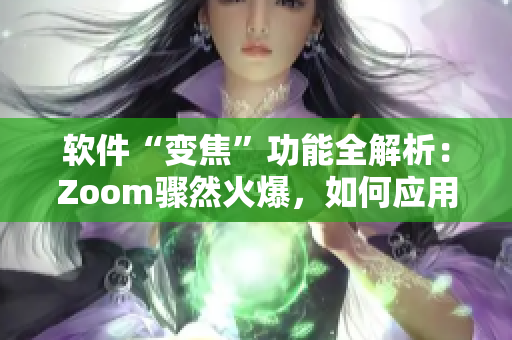 软件“变焦”功能全解析：Zoom骤然火爆，如何应用于软件功能设计中？