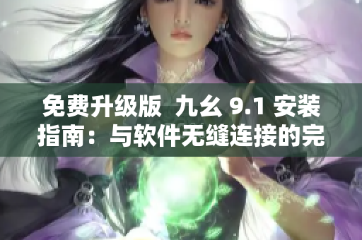 免费升级版  九幺 9.1 安装指南：与软件无缝连接的完美选择