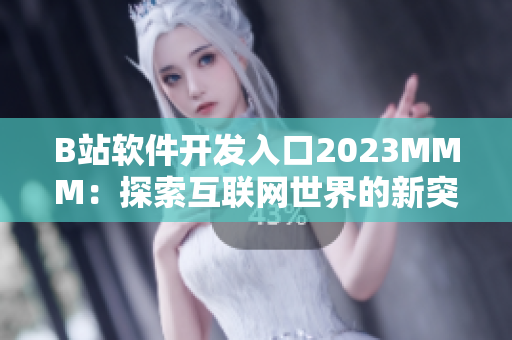 B站软件开发入口2023MMM：探索互联网世界的新突破口