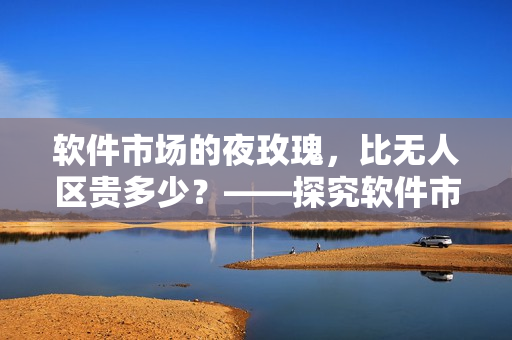 软件市场的夜玫瑰，比无人区贵多少？——探究软件市场价格的背后