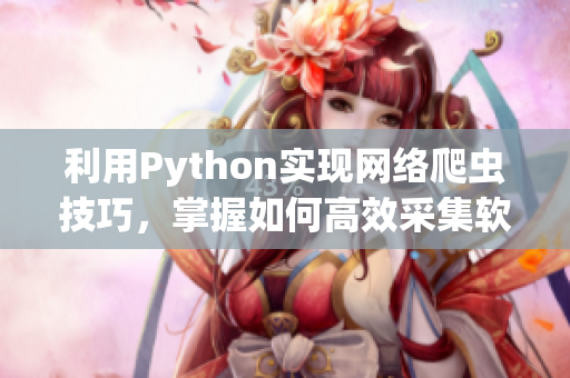 利用Python实现网络爬虫技巧，掌握如何高效采集软件信息