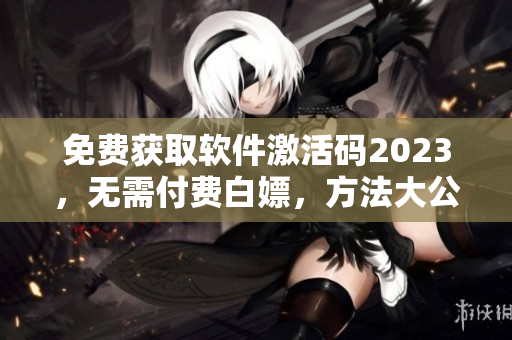 免费获取软件激活码2023，无需付费白嫖，方法大公开！