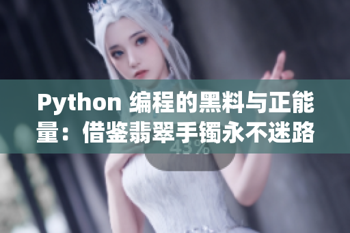 Python 编程的黑料与正能量：借鉴翡翠手镯永不迷路的经验