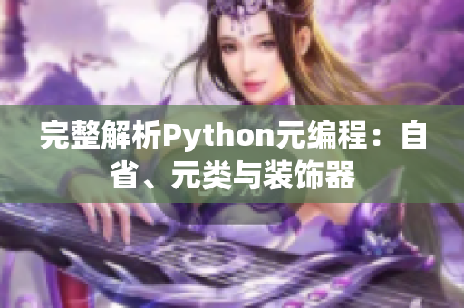 完整解析Python元编程：自省、元类与装饰器